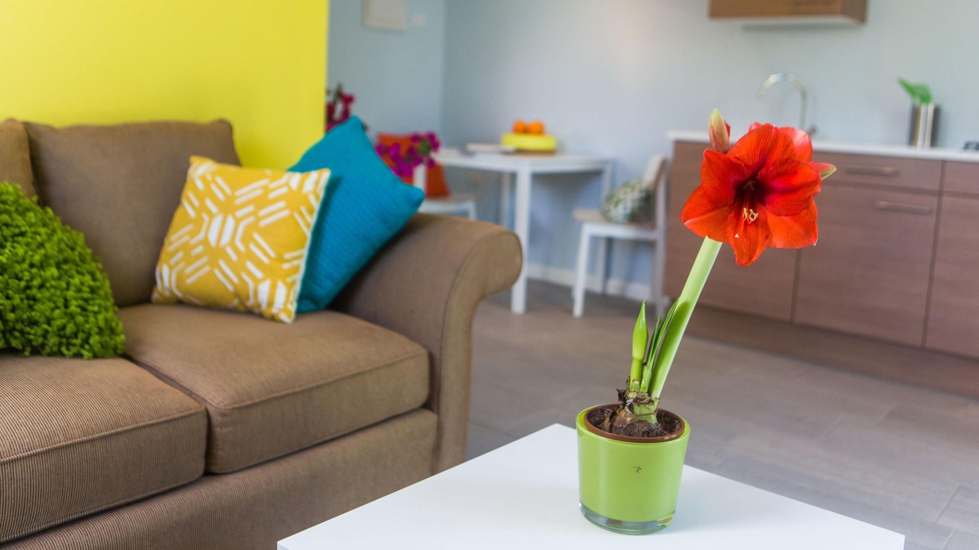 Bubali Bliss Studios Palm Beach Extérieur photo