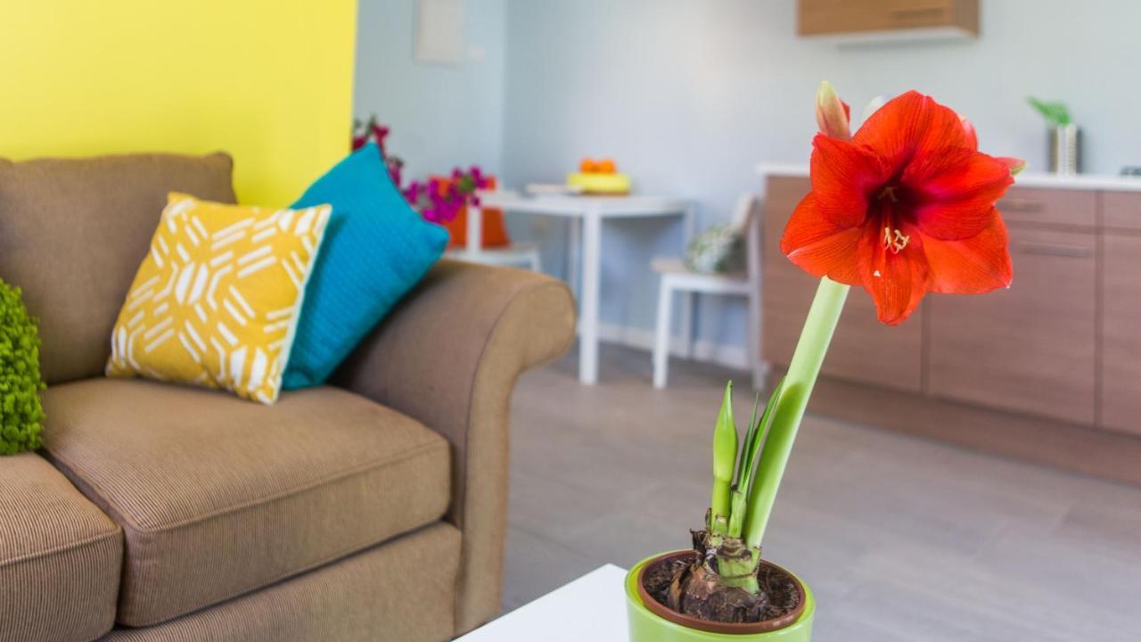 Bubali Bliss Studios Palm Beach Extérieur photo